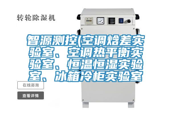 智源測控(空調(diào)焓差實(shí)驗室、空調(diào)熱平衡實(shí)驗室、恒溫恒濕實(shí)驗室、冰箱冷柜實(shí)驗室