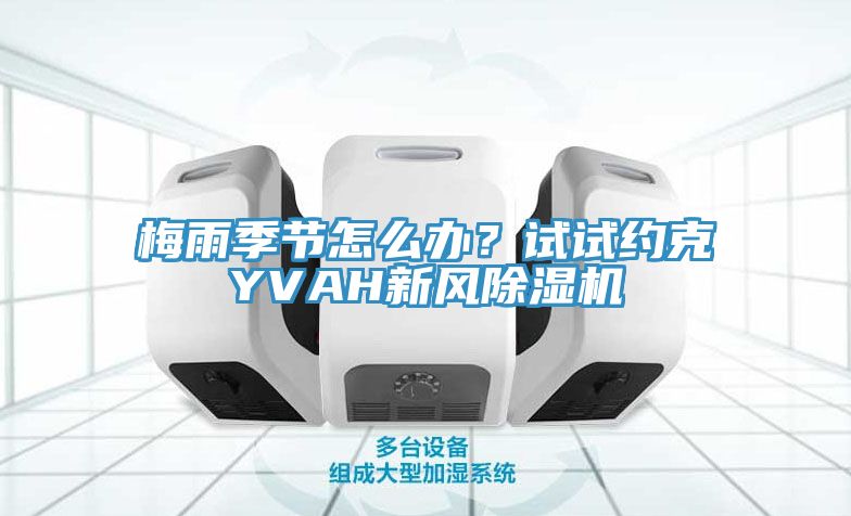 梅雨季節(jié)怎么辦？試試約克YVAH新風(fēng)除濕機(jī)