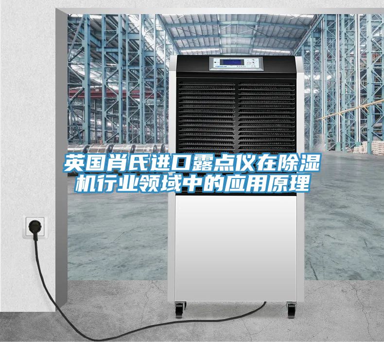 英國肖氏進口露點儀在除濕機行業領域中的應用原理
