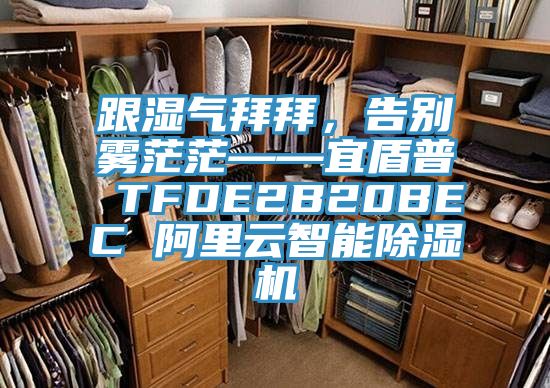 跟濕氣拜拜，告別霧茫?！硕芷?TFDE2B20BEC 阿里云智能除濕機