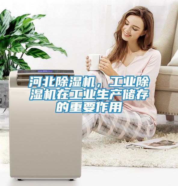 河北除濕機，工業(yè)除濕機在工業(yè)生產(chǎn)儲存的重要作用