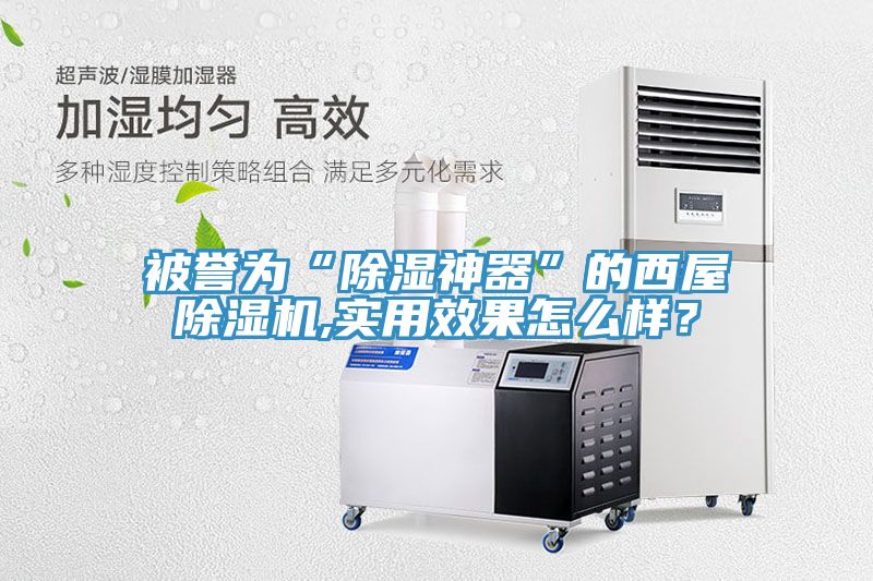 被譽為“除濕神器”的西屋除濕機,實用效果怎么樣？