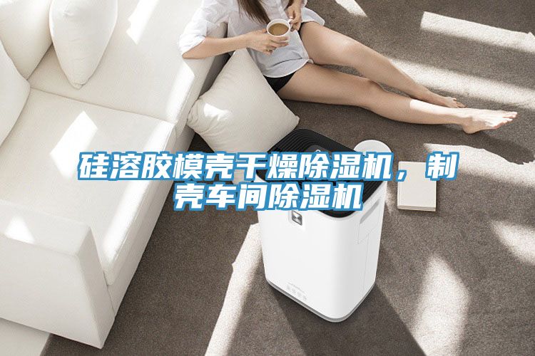 硅溶膠模殼干燥除濕機,制殼車間除濕機