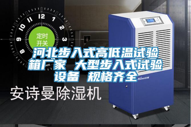河北步入式高低溫試驗箱廠家 大型步入式試驗設備 規(guī)格齊全