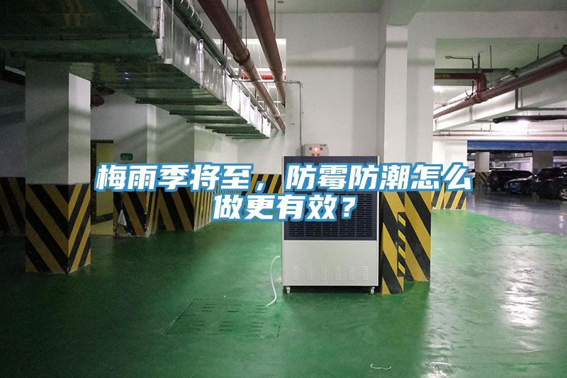 梅雨季將至，防霉防潮怎么做更有效？