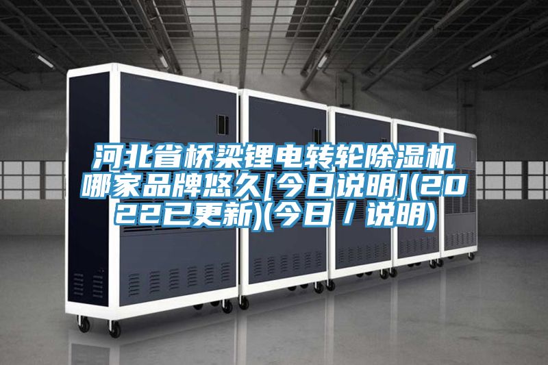 河北省橋梁鋰電轉(zhuǎn)輪除濕機哪家品牌悠久[今日說明](2022已更新)(今日／說明)