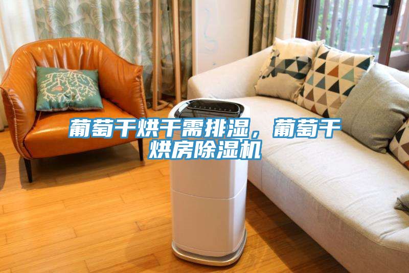 葡萄干烘干需排濕，葡萄干烘房除濕機(jī)