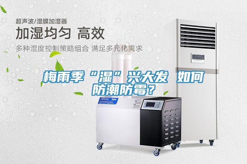 梅雨季“濕”興大發(fā) 如何防潮防霉？
