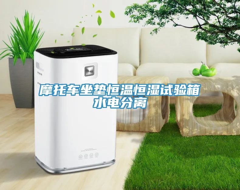 摩托車坐墊恒溫恒濕試驗箱水電分離