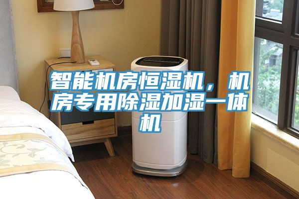智能機房恒濕機，機房專用除濕加濕一體機