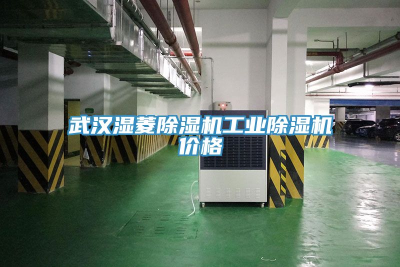 武漢濕菱除濕機工業除濕機價格