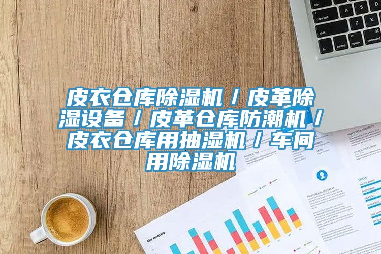 皮衣倉庫除濕機／皮革除濕設(shè)備／皮革倉庫防潮機／皮衣倉庫用抽濕機／車間用除濕機