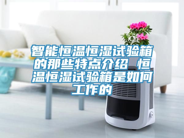 智能恒溫恒濕試驗箱的那些特點介紹 恒溫恒濕試驗箱是如何工作的