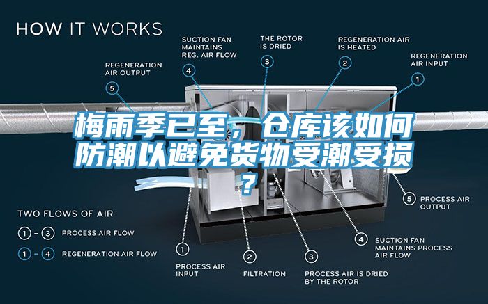 梅雨季已至，倉庫該如何防潮以避免貨物受潮受損？