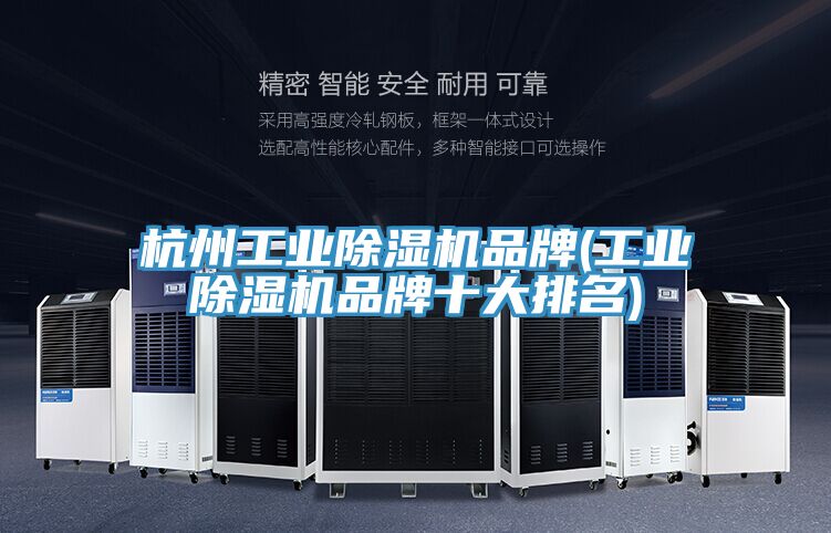 杭州工業除濕機品牌(工業除濕機品牌十大排名)