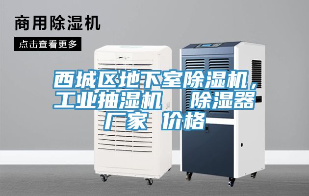 西城區地下室除濕機，工業抽濕機  除濕器廠家 價格