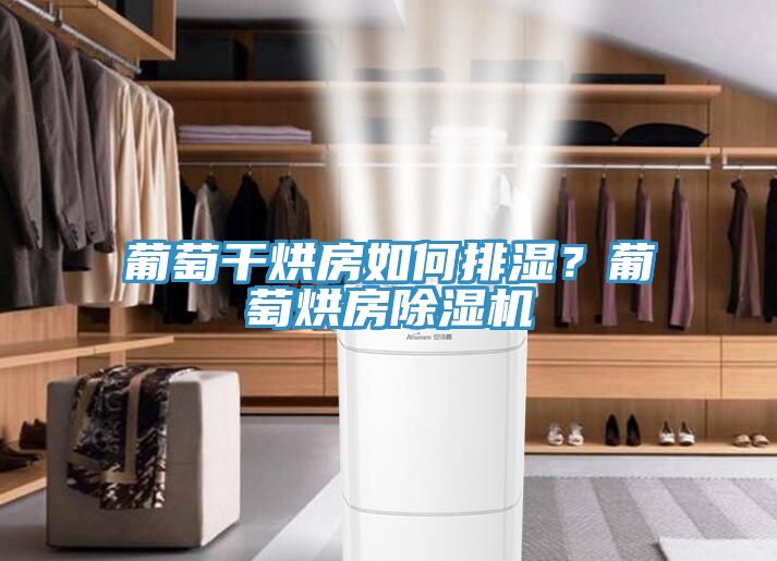 葡萄干烘房如何排濕？葡萄烘房除濕機(jī)