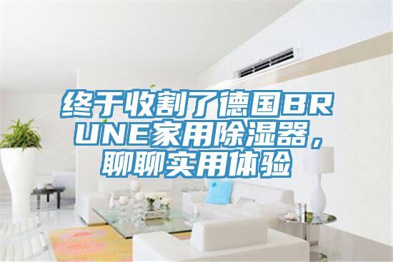 終于收割了德國BRUNE家用除濕器，聊聊實用體驗
