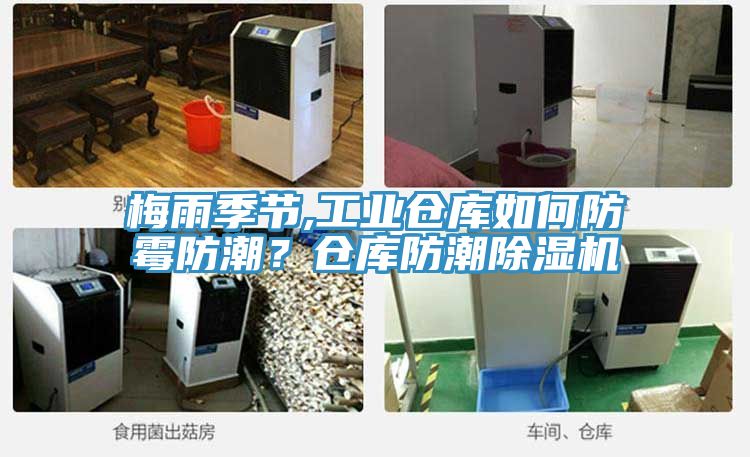 梅雨季節(jié),工業(yè)倉(cāng)庫(kù)如何防霉防潮？倉(cāng)庫(kù)防潮除濕機(jī)