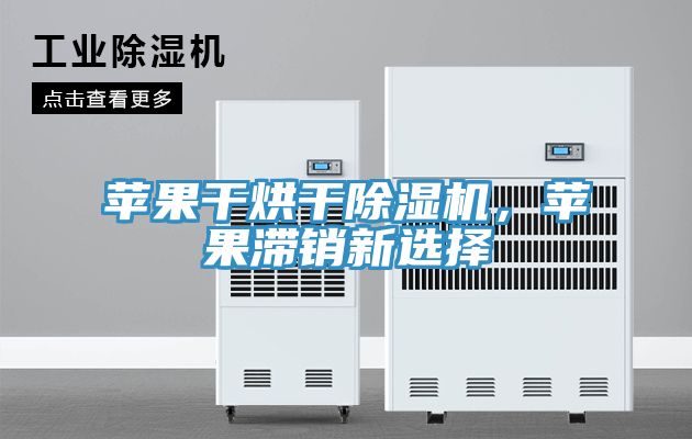 蘋果干烘干除濕機，蘋果滯銷新選擇