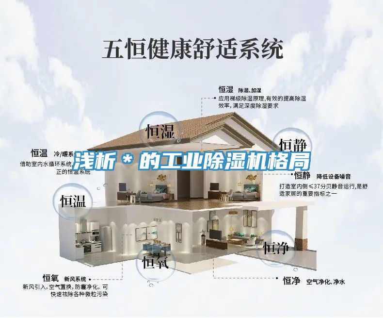 淺析＊的工業除濕機格局