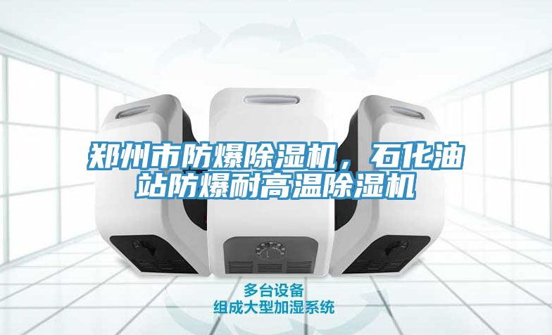 鄭州市防爆除濕機，石化油站防爆耐高溫除濕機
