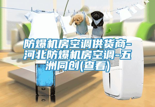 防爆機房空調供貨商-河北防爆機房空調-五洲同創(查看)