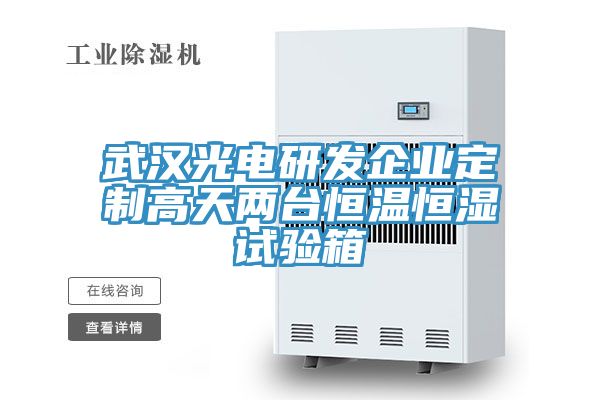 武漢光電研發企業定制高天兩臺恒溫恒濕試驗箱