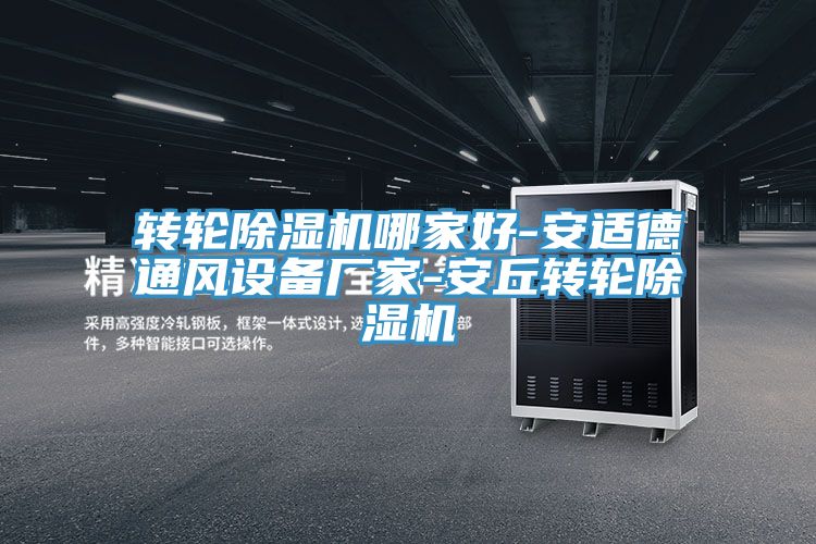 轉輪除濕機哪家好-安適德通風設備廠家-安丘轉輪除濕機