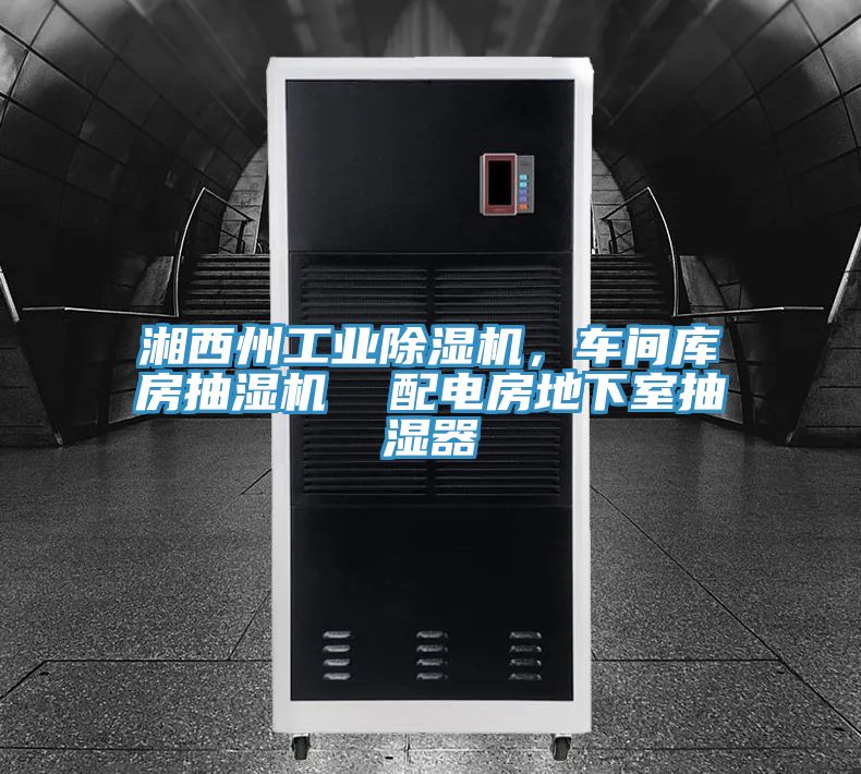 湘西州工業除濕機，車間庫房抽濕機  配電房地下室抽濕器