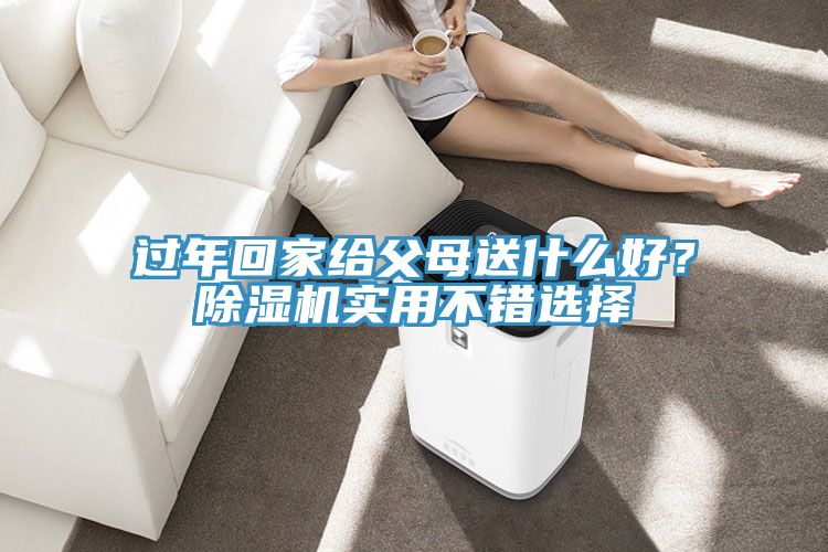 過年回家給父母送什么好？除濕機實用不錯選擇