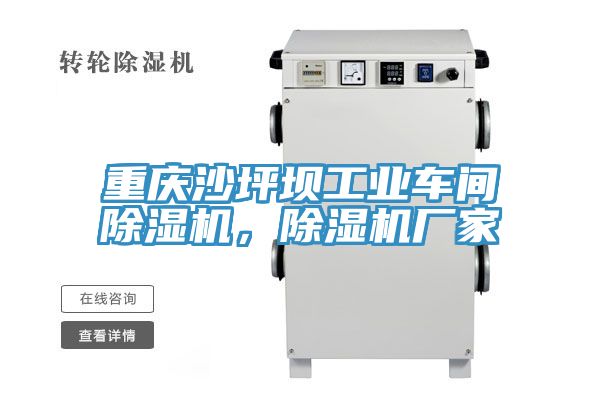 重慶沙坪壩工業(yè)車間除濕機，除濕機廠家