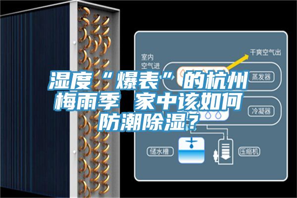 濕度“爆表”的杭州梅雨季 家中該如何防潮除濕？
