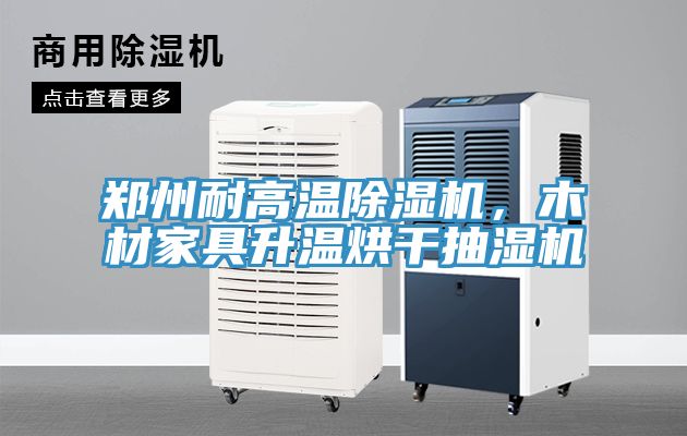 鄭州耐高溫除濕機(jī)，木材家具升溫烘干抽濕機(jī)