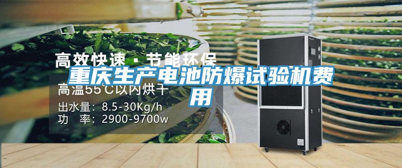 重慶生產(chǎn)電池防爆試驗機費用