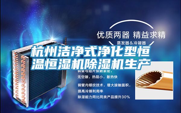 杭州潔凈式凈化型恒溫恒濕機除濕機生產