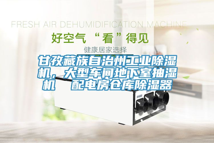 甘孜藏族自治州工業除濕機，大型車間地下室抽濕機  配電房倉庫除濕器