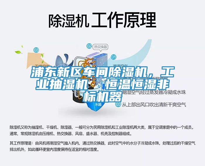 浦東新區車間除濕機，工業抽濕機  恒溫恒濕非標機器