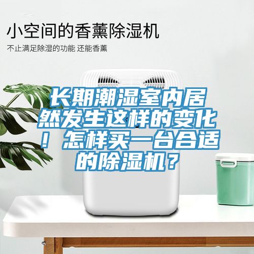 長期潮濕室內居然發生這樣的變化！怎樣買一臺合適的除濕機？
