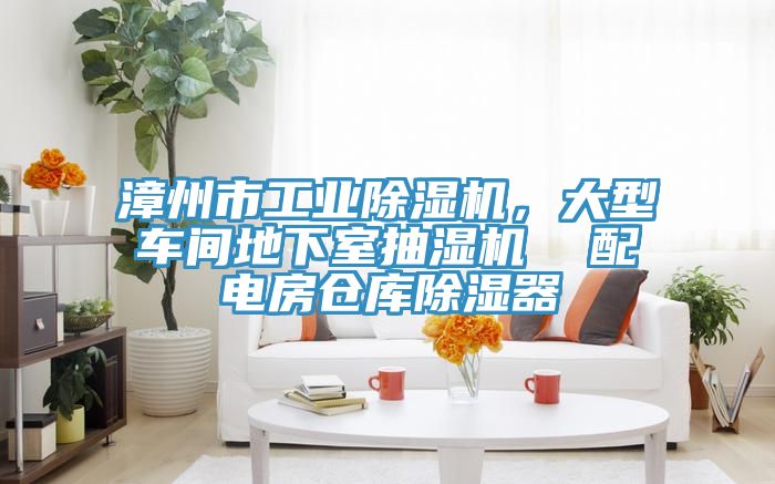 漳州市工業(yè)除濕機(jī)，大型車間地下室抽濕機(jī)  配電房倉庫除濕器
