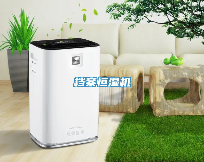 檔案恒濕機