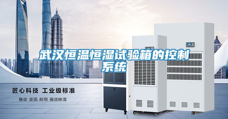 武漢恒溫恒濕試驗箱的控制系統