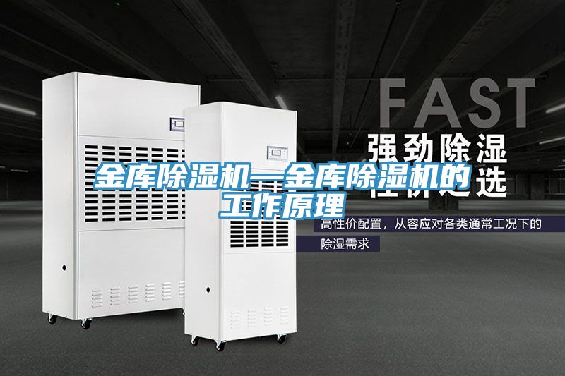 金庫(kù)除濕機(jī)—金庫(kù)除濕機(jī)的工作原理
