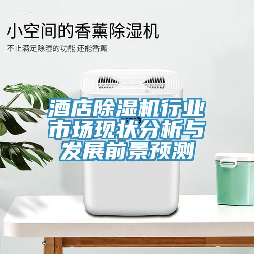 酒店除濕機行業市場現狀分析與發展前景預測