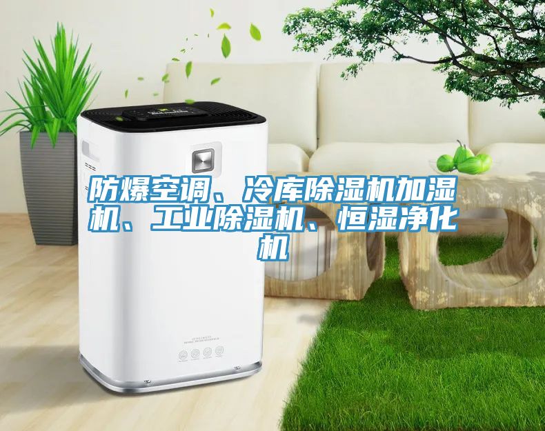 防爆空調(diào)、冷庫(kù)除濕機(jī)加濕機(jī)、工業(yè)除濕機(jī)、恒濕凈化機(jī)
