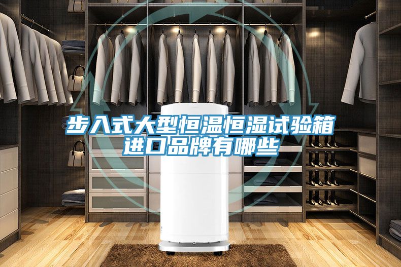 步入式大型恒溫恒濕試驗(yàn)箱進(jìn)口品牌有哪些