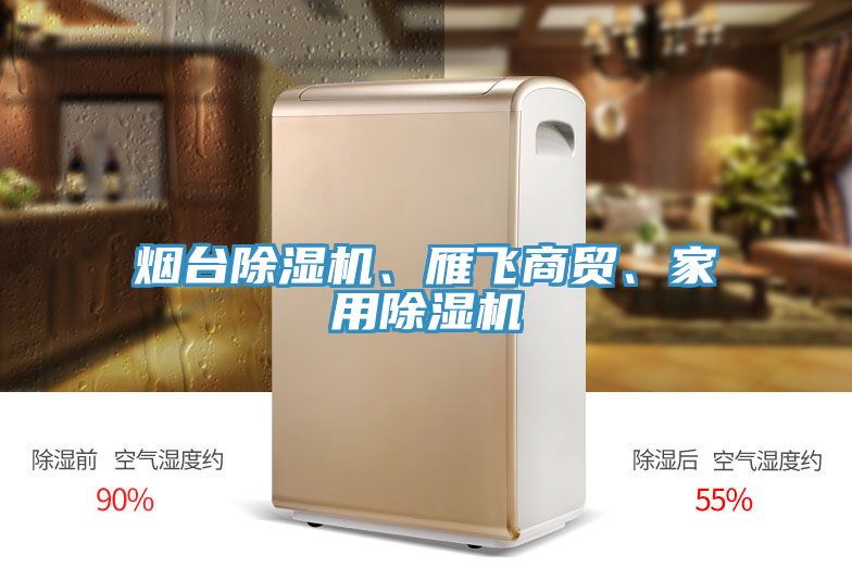煙臺(tái)除濕機(jī)、雁飛商貿(mào)、家用除濕機(jī)