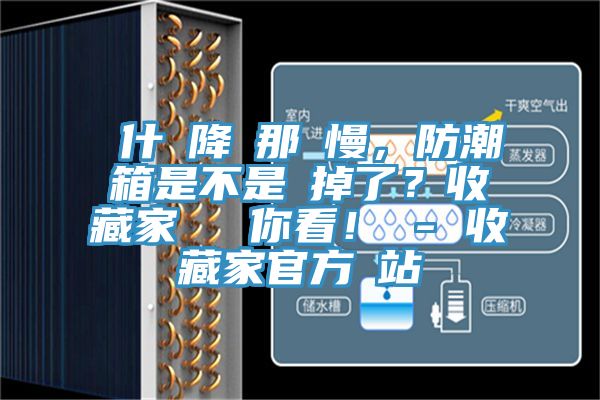 為什麼降濕那麼慢，防潮箱是不是壞掉了？收藏家實(shí)測(cè)給你看！ - 收藏家官方網(wǎng)站