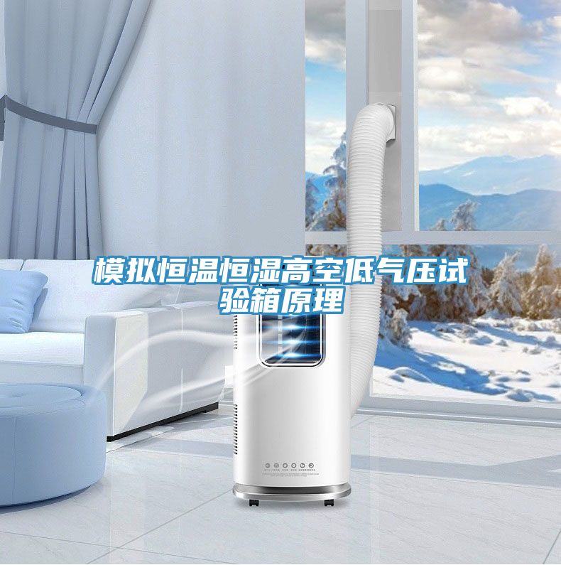 模擬恒溫恒濕高空低氣壓試驗箱原理