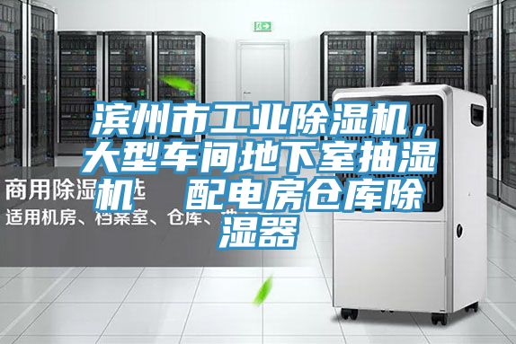 濱州市工業(yè)除濕機(jī)，大型車間地下室抽濕機(jī)  配電房倉(cāng)庫(kù)除濕器